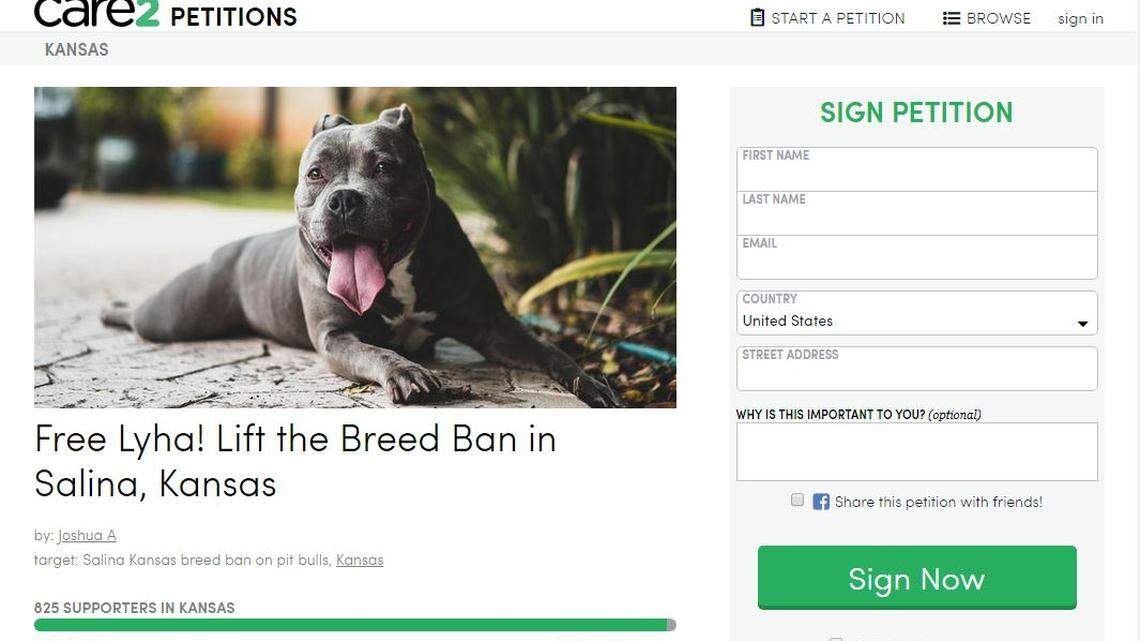 A Care2 asks that the city of Salina free Lyha, a blue pit bull who was taken away by Salina Animal Services after she escaped from her owner’s yard.