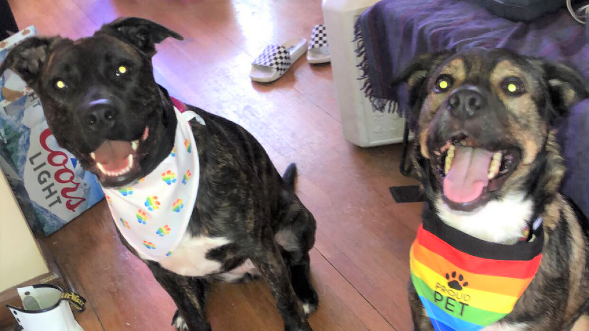 Ramona, left, and Champ pose for a photo. Ramona is fighting for her life in an area animal hospital after a south Wichita apartment fire. Champ had to be revived by firefighters.