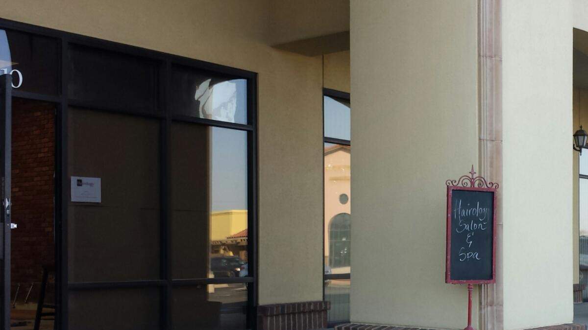 Michelle Ryan is remodeling space at Reflection Ridge Plaza near 21st and Ridge Road and will officially open Hairology Salon & Spa in a couple of weeks.