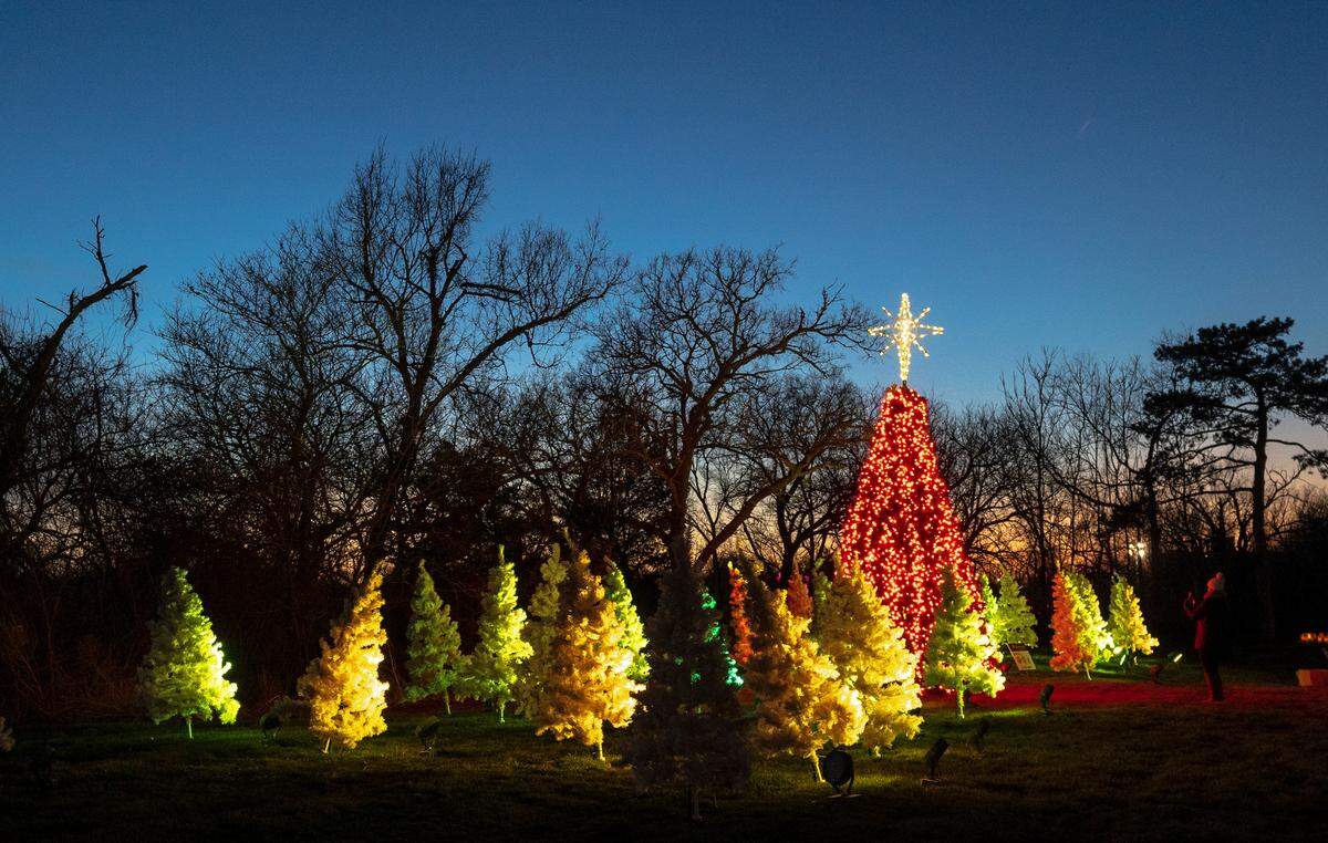 The annual Illuminations event at Botanica runs Nov. 19-Dec. 31.