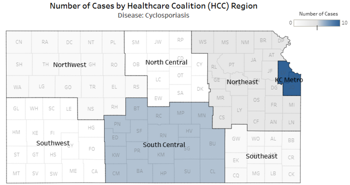Cyclosporiasis cases in Kansas as of July 8.