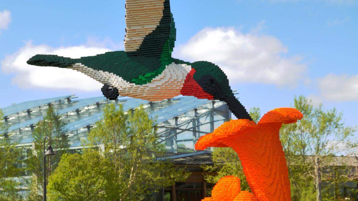 A hummingbird is part of "Nature Connects," a traveling exhibition of Lego sculptures coming to Botanica next summer.