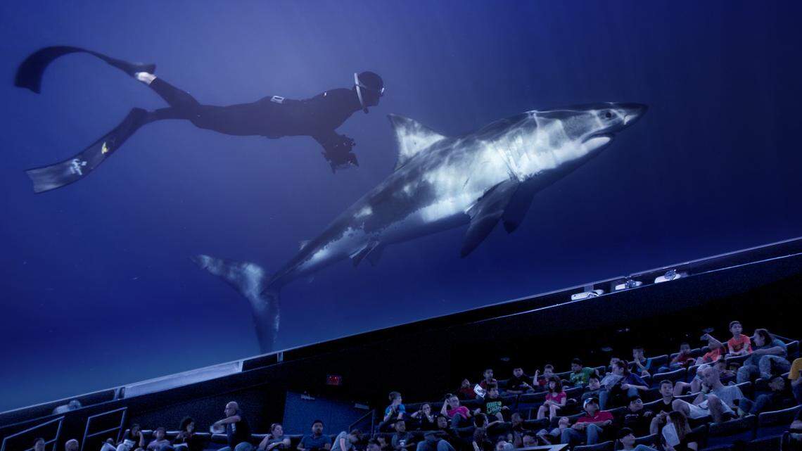 "Great White Shark" premieres Saturday at Exploration Place at 300 N. McLean Blvd, launching the recent updates to the dome theater.