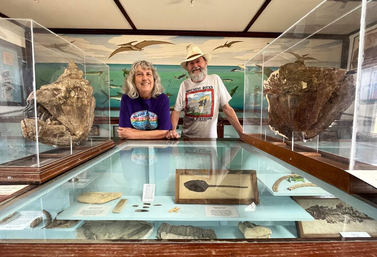 Husband and wife Chuck Bonner and Barbara Shelton opened the Keystone Gallery in 1991 to showcase some of their family’s fossil finds from western Kansas, including mosasaurs, pteranodons and these two giant skulls that belonged to a species of carnivorous fish called Xiphactinus.