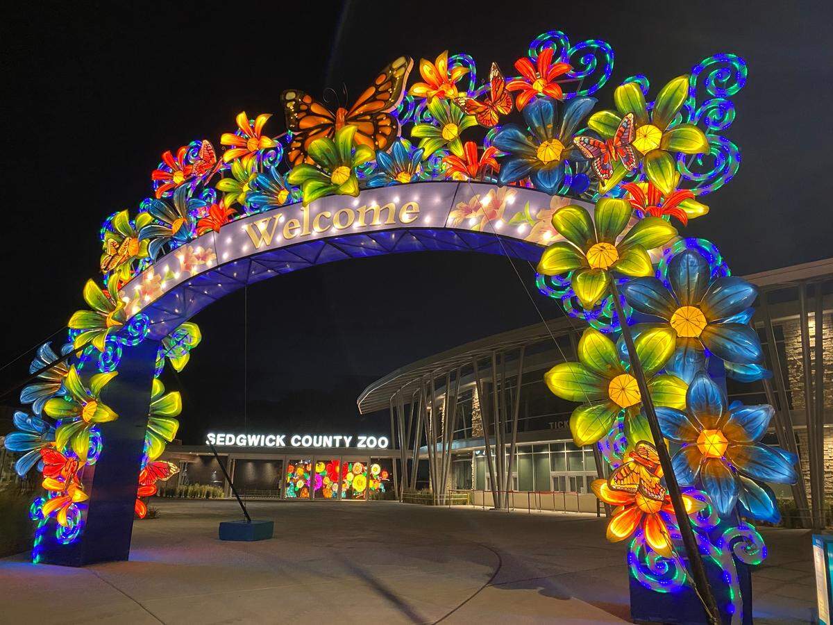 The giant lantern sculpture set up at the entrance of the Sedgwick County Zoo welcomes visitors to the Wild Lights exhibit, which closes on Sunday.