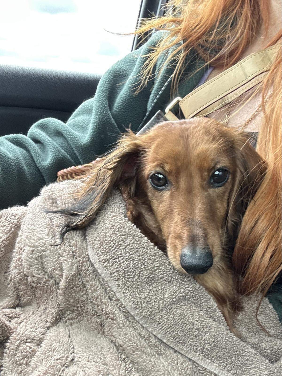 Ellie, Felecia’s dog, was in the camper and was rescued. On Monday, she was returned to Jason Richey by a family friend.