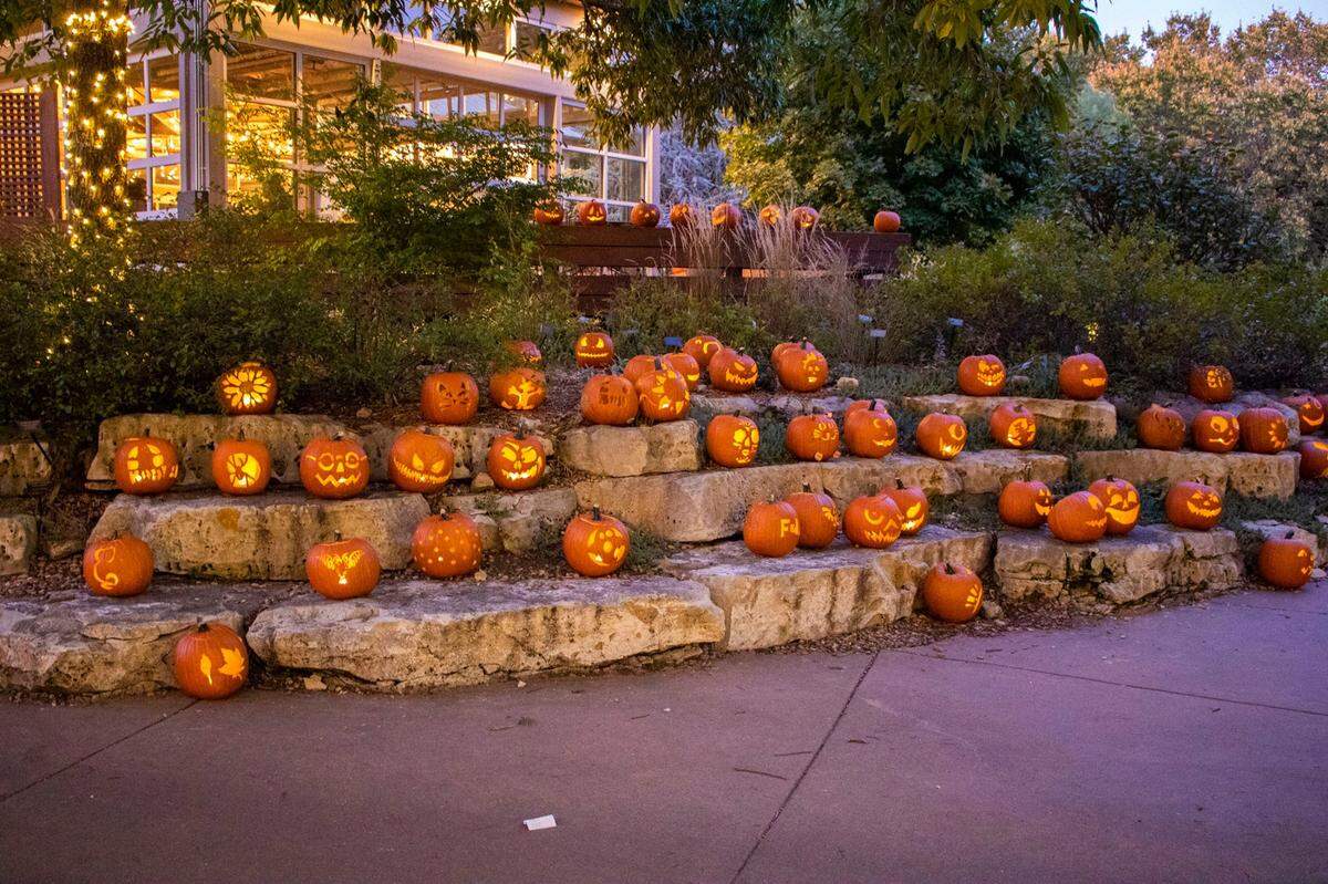 The new Haunted Hops event on Oct. 12 at Botanica will allow patrons 21 and over to sip beer and cocktails while enjoying the carved pumpkins that are part of the Jack-O-Lantern Spectacular.