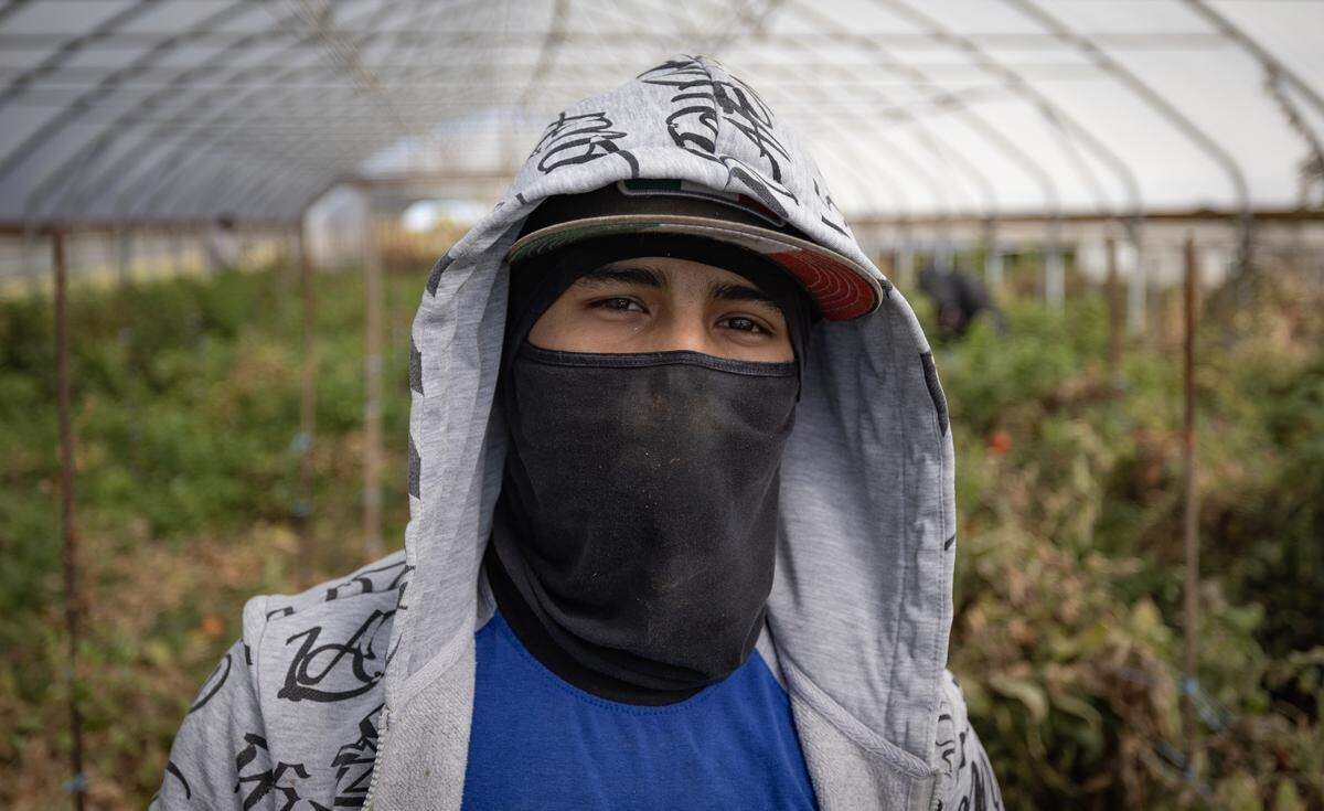 Business and agricultural leaders say that immigrants, such as this migrant from Mexico, help keep inflation and food prices down.