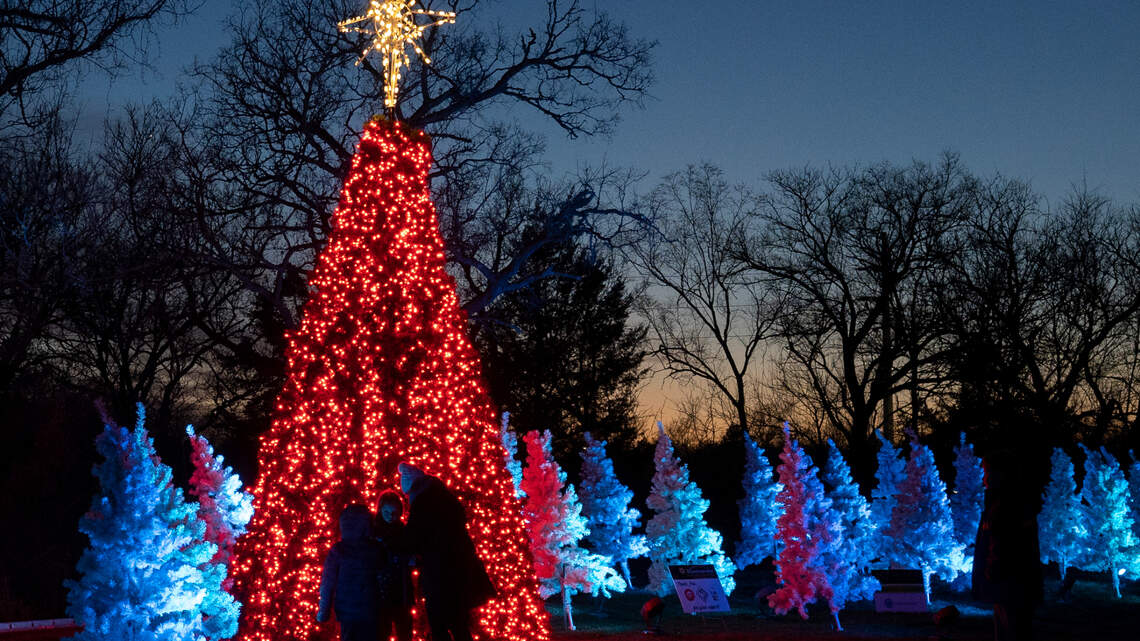 5 things to know about Illuminations at Botanica