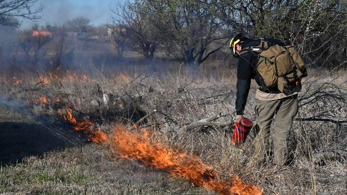 Prescribed burns reduce overgrown vegetation and promote healthier forest ecosystems, according to the Richland County Government. 
