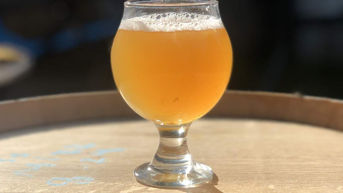 Slammed Brewing Co. is a venture being planned by Wichitans Kyle Nordick and Will Miller, who hope to have a tap room open in 2020.