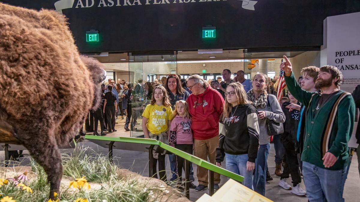 An American bison greets visitors entering during a reopening celebration at the Kansas Museum of History.