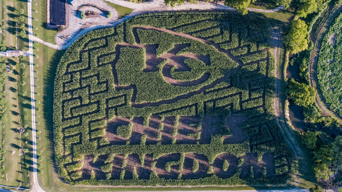 Here’s where to find pumpkin patches, corn mazes and haunted houses in the Wichita area