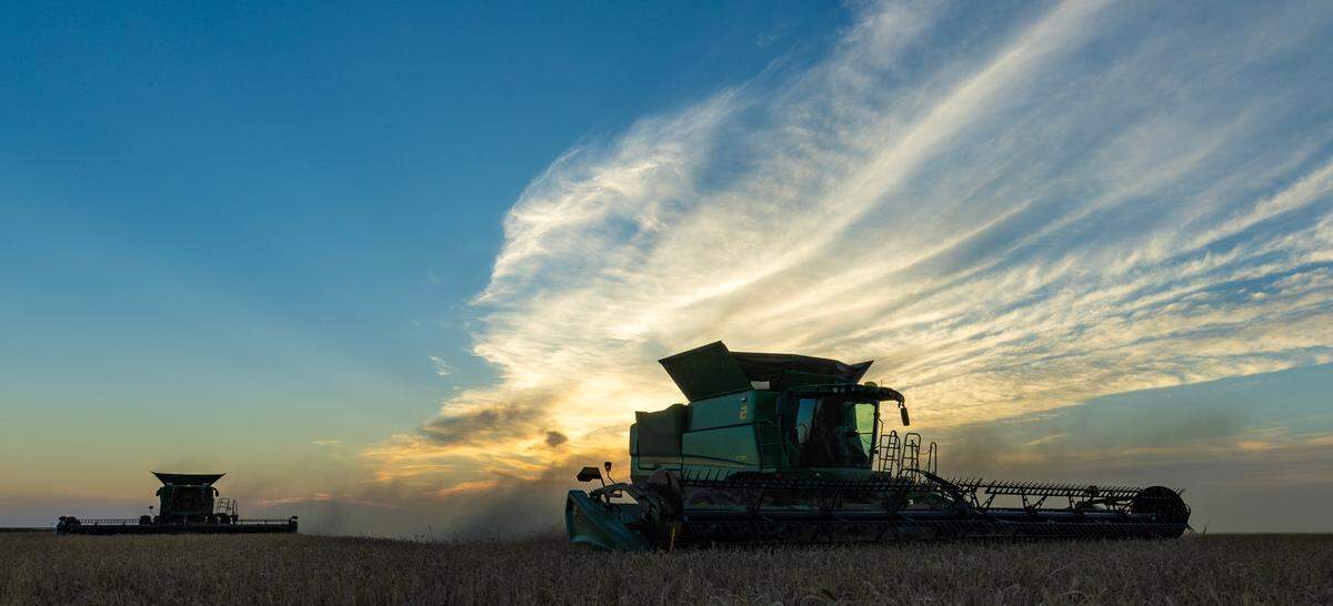 Custom harvesters work through a field of triticale, a wheat and rye hybrid used as a forage crop, in a field in Lane County in Oregan on Saturday.