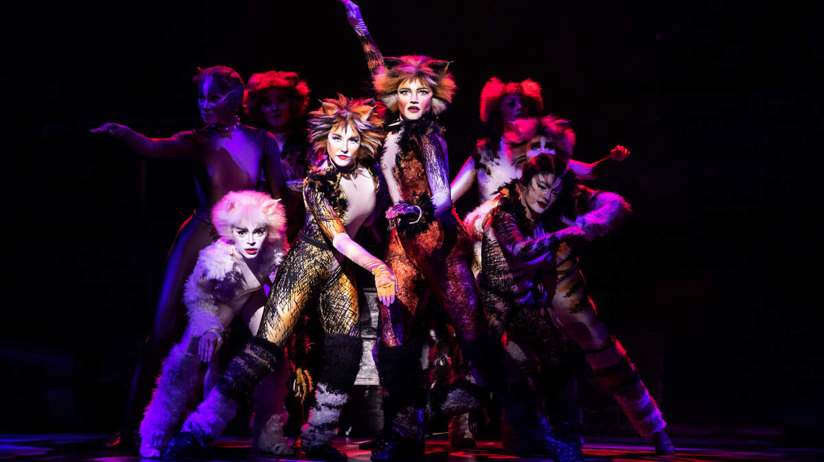 Cats, one of the biggest hits in theatrical history, is playing Century II Oct. 14-16.