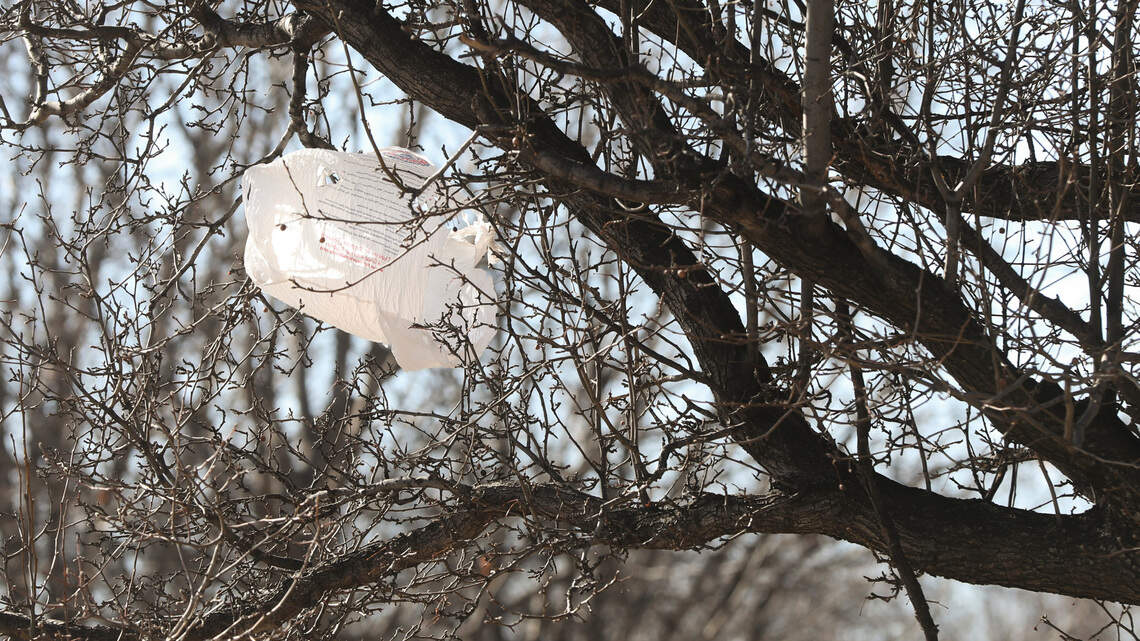 City task force, WSU to study litter as part of debate on banning plastic bags