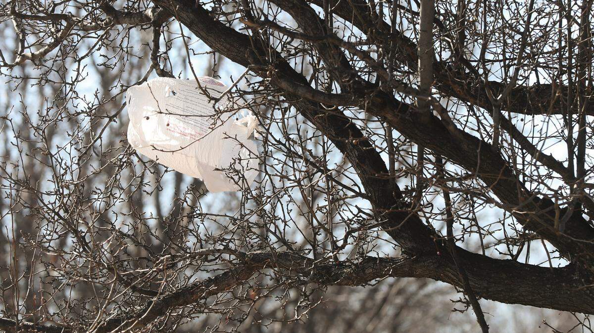 A plastic bag is stuck on a tree limb in the median on South Hillside near U.S. 54. (Jan. 13, 2021)