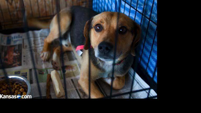 2007 - Greensburg Cleanup Begins/FEMA Arrives