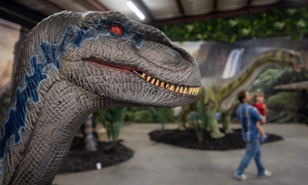 Lost World: A Dinosaur Experience opens July 11 in Wichita with more than 30 animatronic dinosaurs, a fossil dig, gift shop and party rentals aimed at affordable family fun.