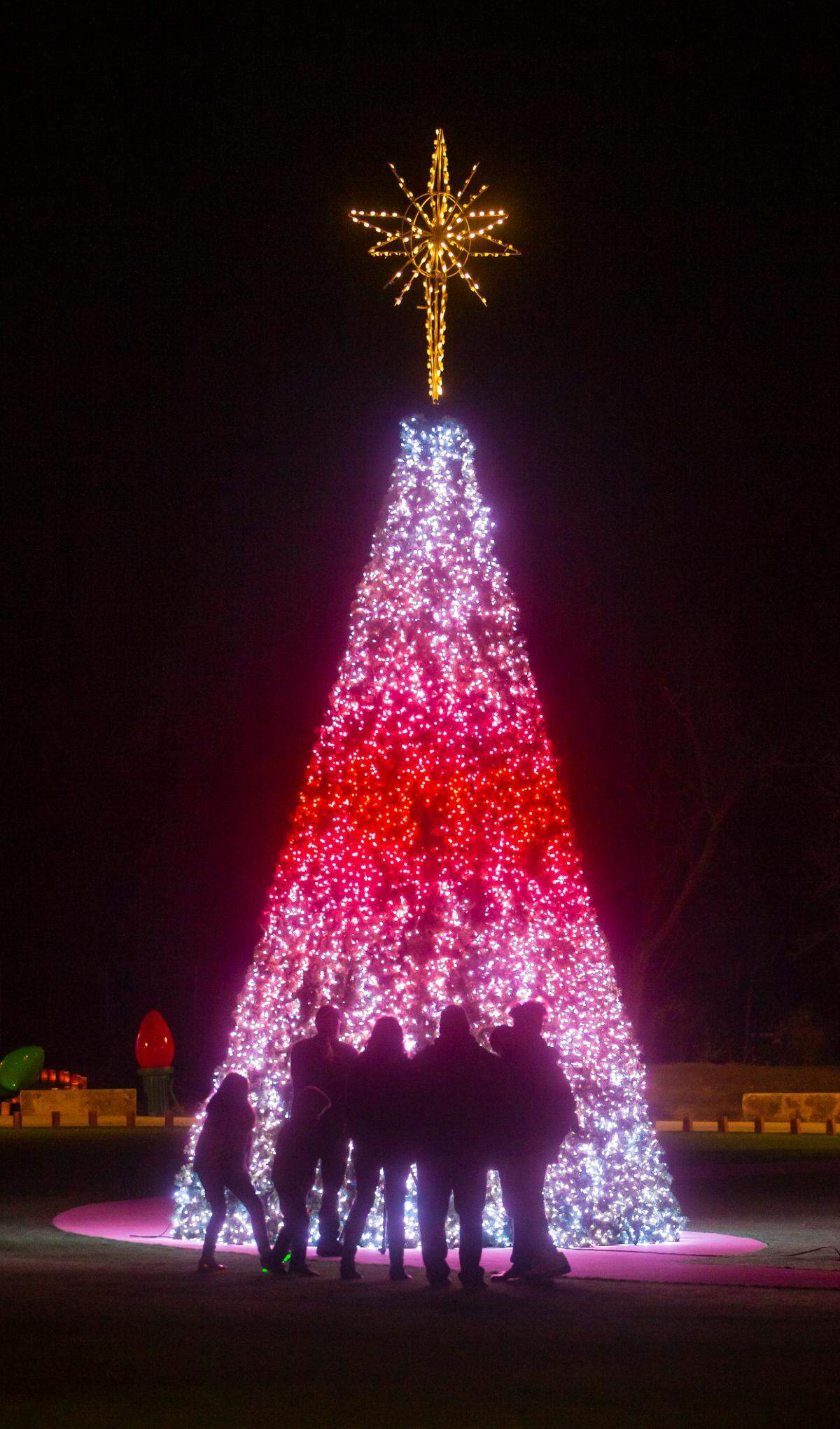 Botanica is going ahead with Illuminations this year but with several changes in place.