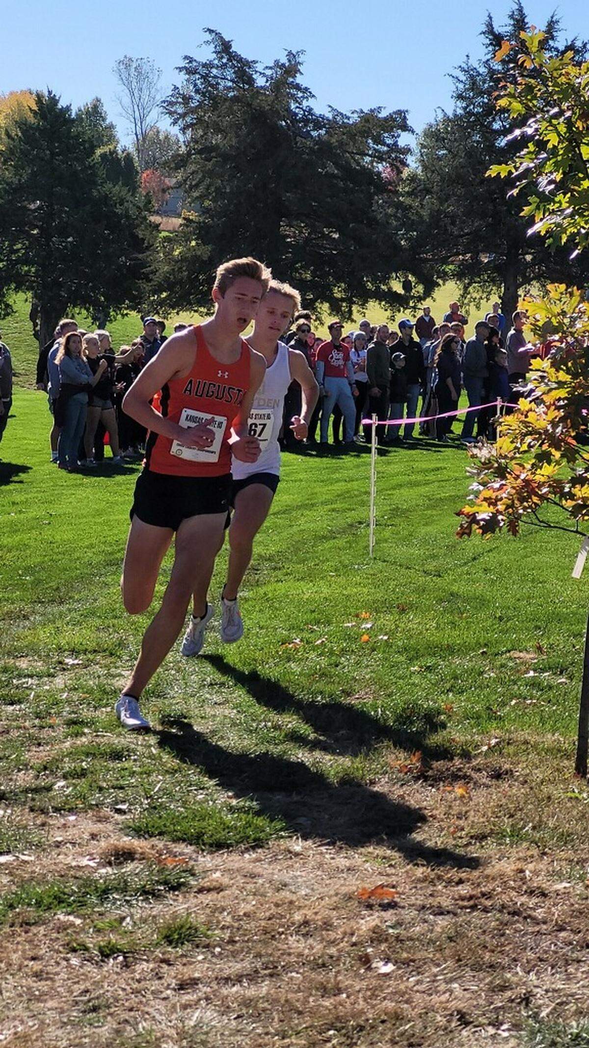 Augusta senior Sawyer Schmidt won the Class 4A individual state cross country championship on Saturday and helped lead the Orioles to a third-place team finish.