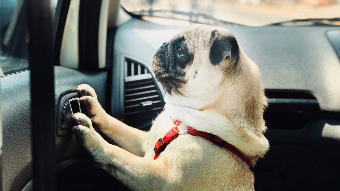 Can you break a window to save a child or pet in a hot car? What KS law says