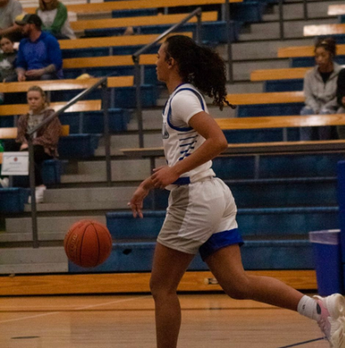 Goddard senior guard Maycee James was one of the best stat-stuffers in the state this season.
