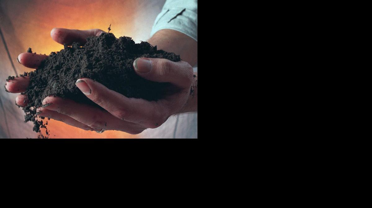 LIFE DIRT 1 WI