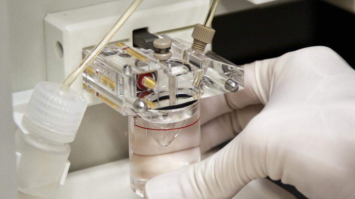 This 2011 file photo shows a laboratory manager preparing a control sample to use in DNA tests at the Regional Forensic Science Center.