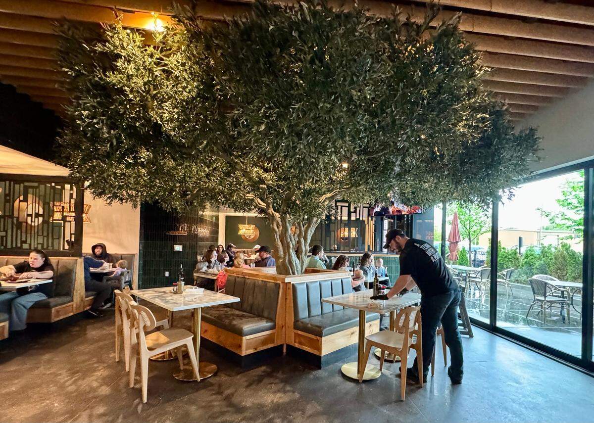 The new Meddys design includes a big tree in the center of the dining room.