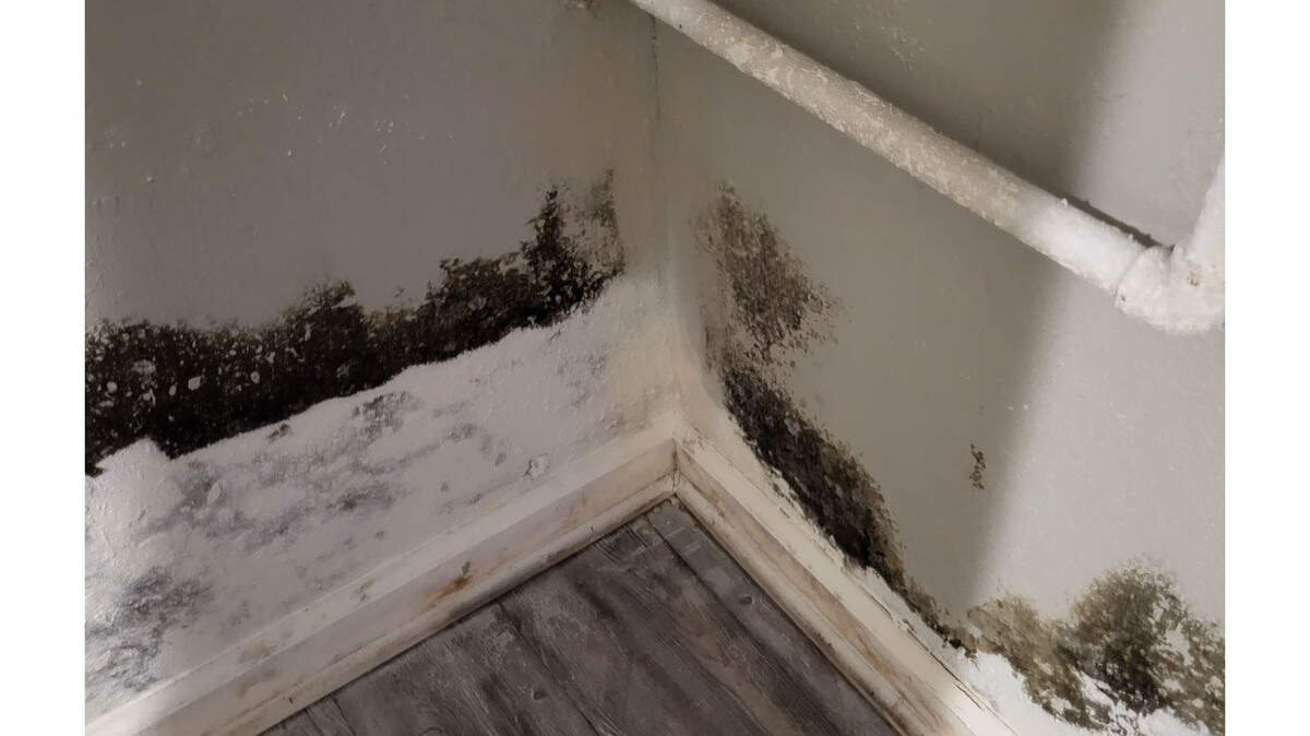 Mold on the wall of Beth Peacock’s apartment.
