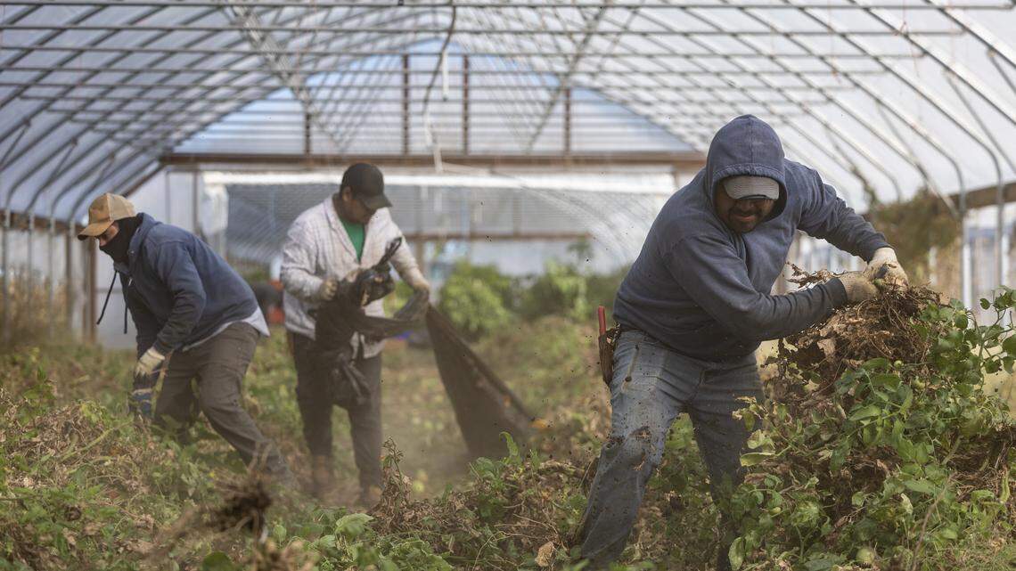 Does Kansas need its immigrants despite crackdown? Key business leaders say ‘yes’