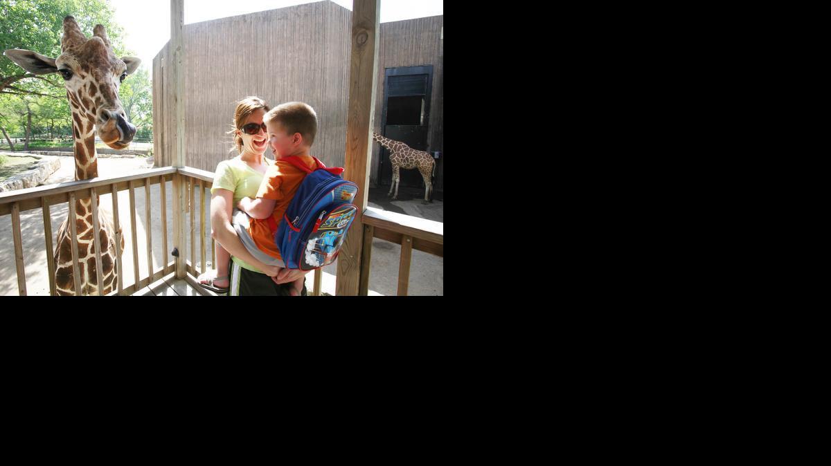 Nichole Zwenger laughs with her son Tristan after he fed leaves to a giraffe at the Sedgwick County Zoo in 2011.

