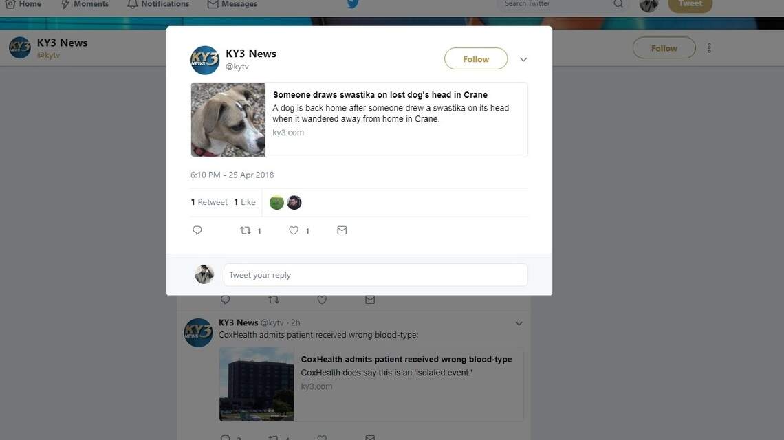 Missouri town wonders who drew swastika on dog's head