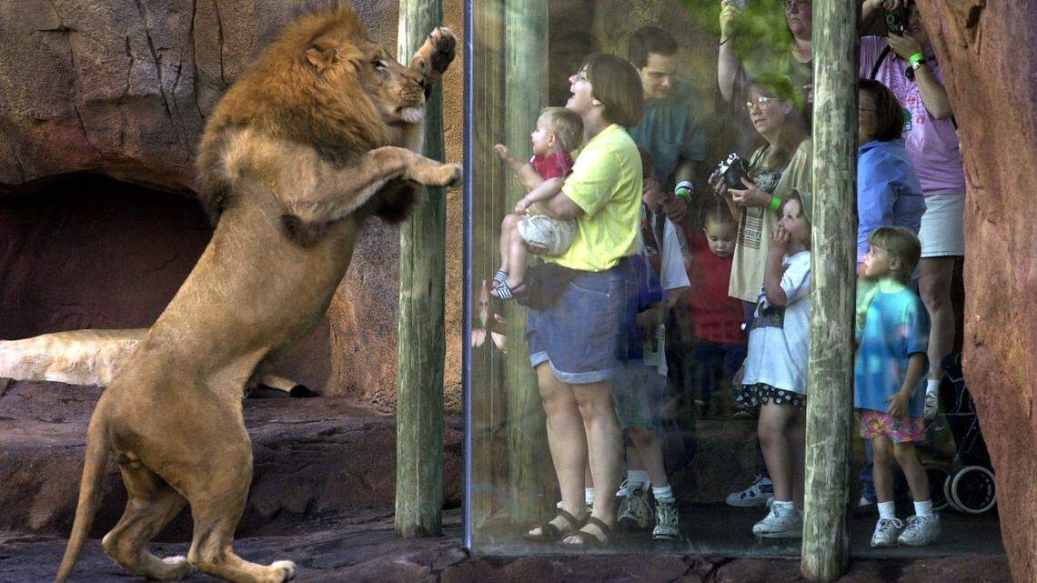 These are the milestone events of the first 50 years of the Sedgwick County Zoo