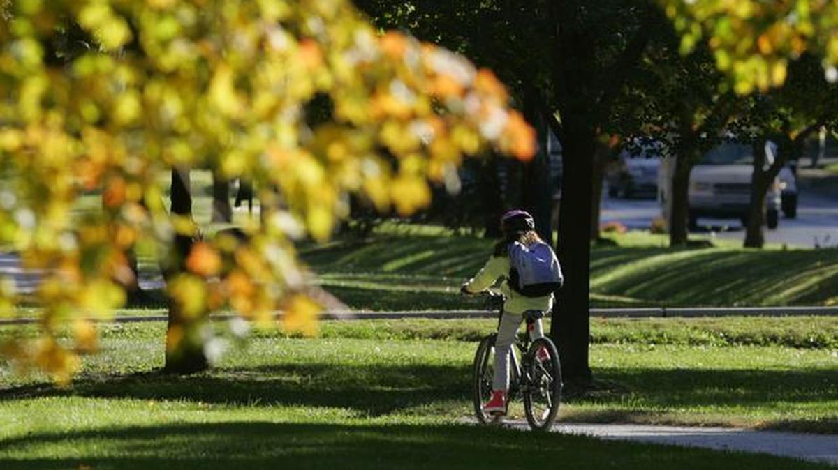 Trees along the Trolley Track Trail that runs through Waldo shine brightly with autumn colors in this file photo.