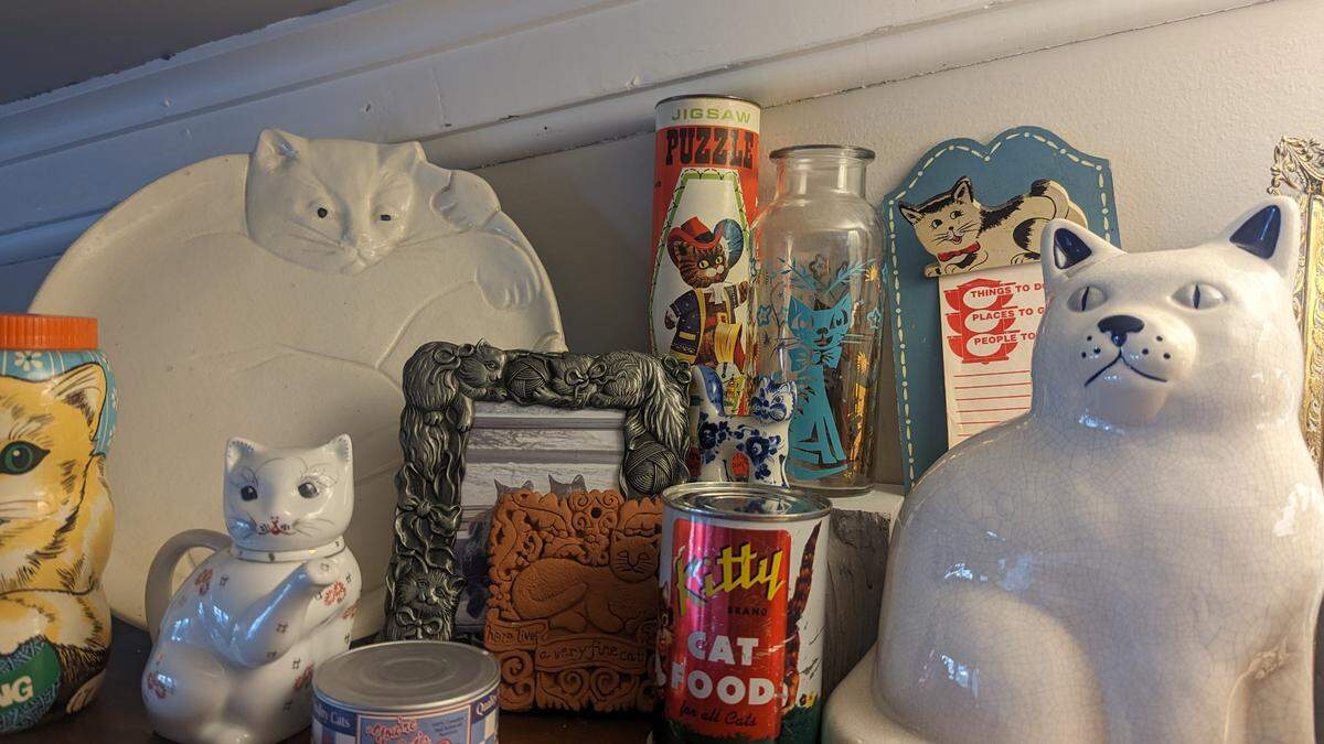 In addition to offering a cafe and lounge, the new Snick’s Cat Cafe will have a boutique for various cat-themed items for humans and felines.