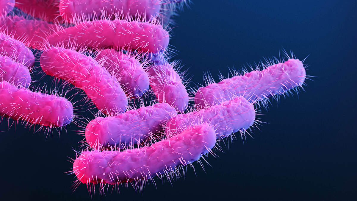 Another diarrhea-causing illness is in the news, and NC has 2 reported ...