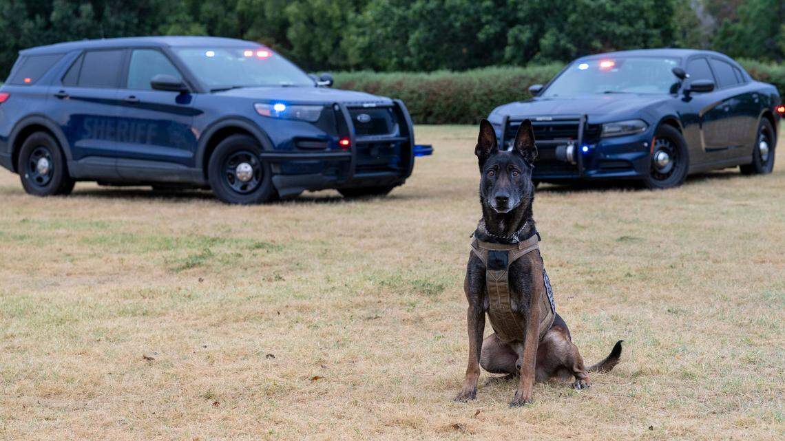 K-9 Bane died in November 2023 after he ran into a storm drain after a suspect. He most recently worked with the Sedgwick County Sheriff’s Office; he had worked with the Wichita Police Department earlier.