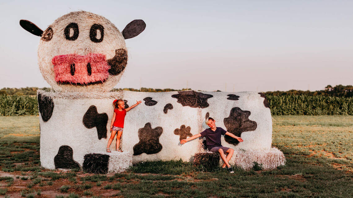 Harvest memories at these south-central Kansas pumpkin patches this fall