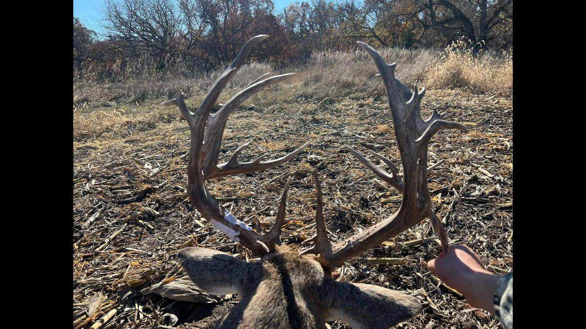 A close up of the rack on Chad Chambers’ buck.