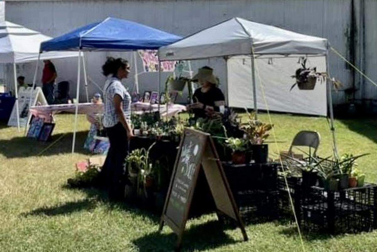 The second ICT Veg Fest on Sunday will include both indoor and outdoor vendors.