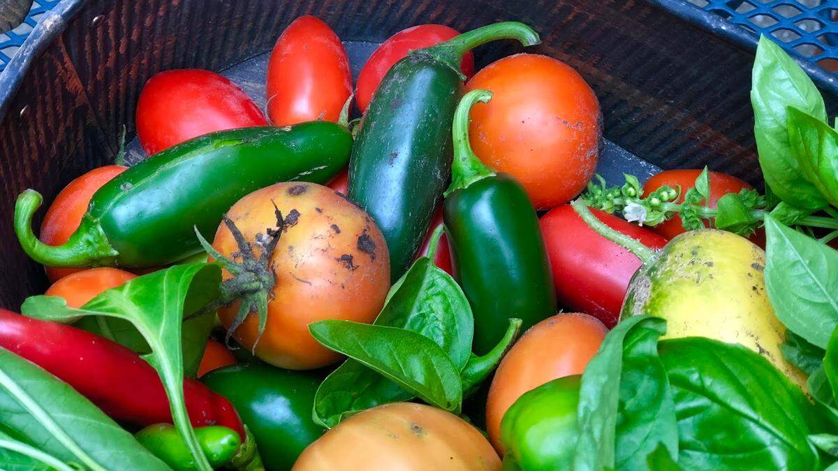Fresh produce from a backyard Kansas garden.