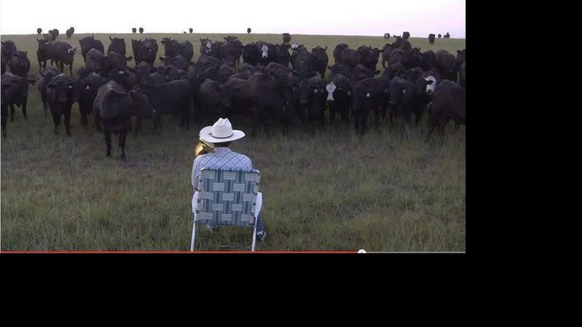 Screenshot from video of Peabody farmer Derek Klingenberg's trombone concert.