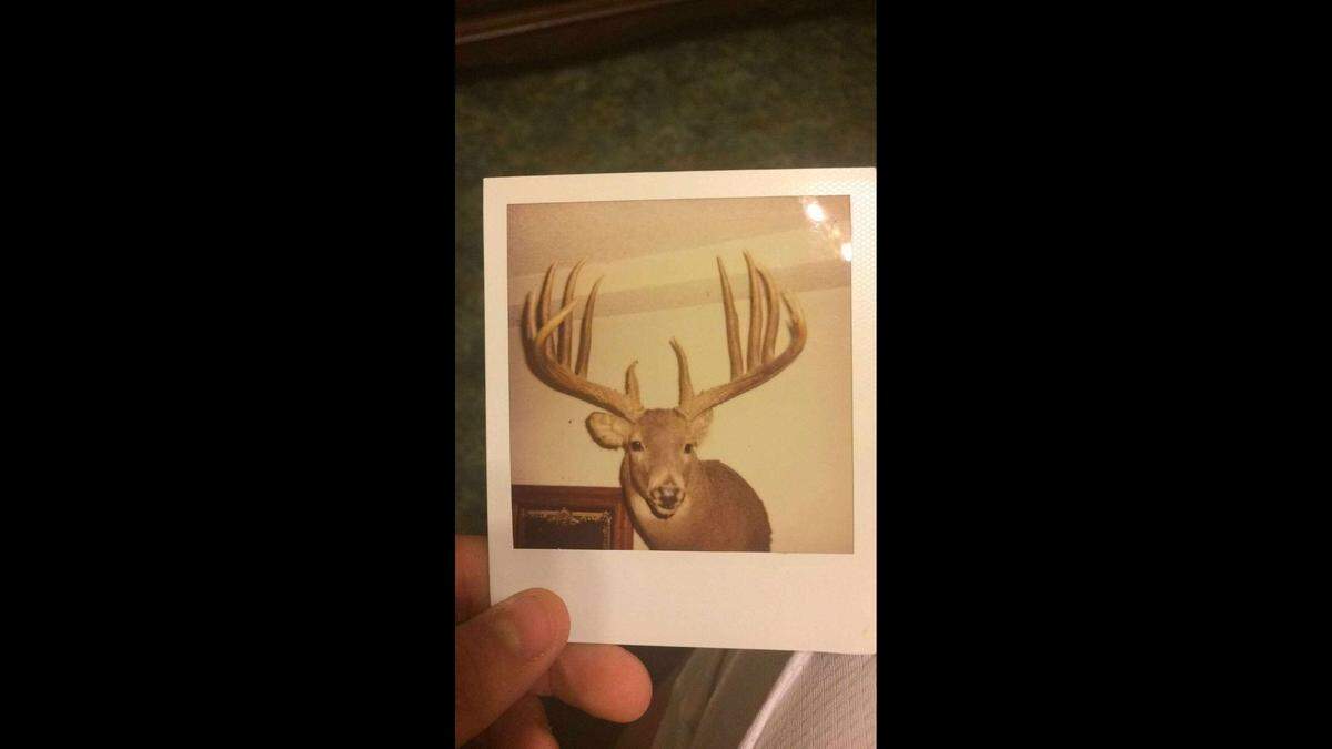 There are only a couple surviving photos, including this photo of a photo, of Albert Daniels’ 1995 buck, which Boone and Crockett Club has listed as the largest typical killed in Kansas.