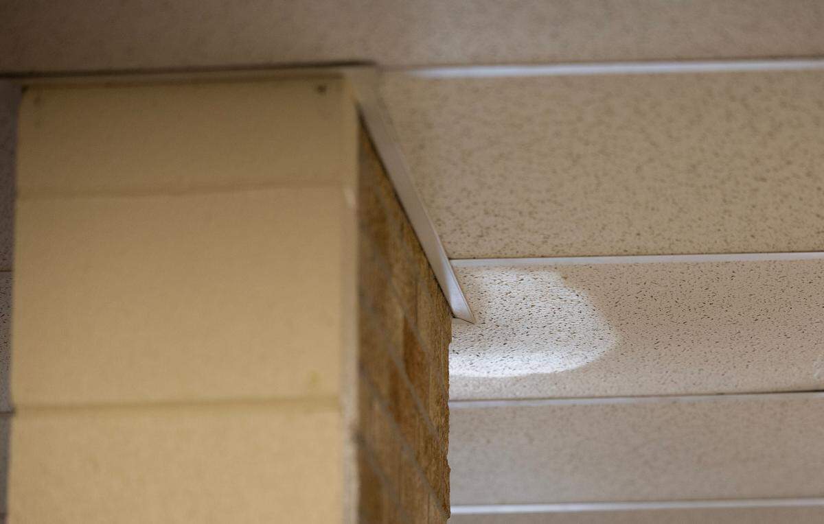 Black Traditional Magnet Elementary School has had many issues with a leaking roof.