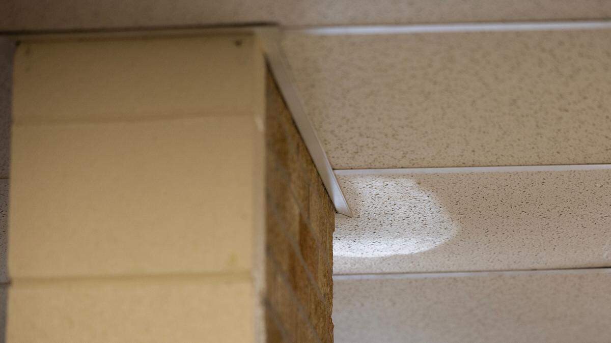 Black Traditional Magnet Elementary School has had many issues with a leaking roof.