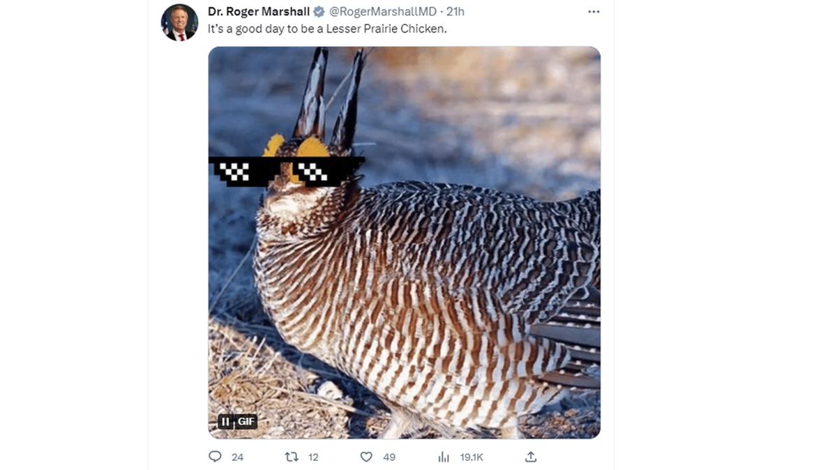 Sen. Roger Marshall posted this GIF image after the Senate voted to revoke federal protection for lesser prairie chickens. Hilarity ensued.