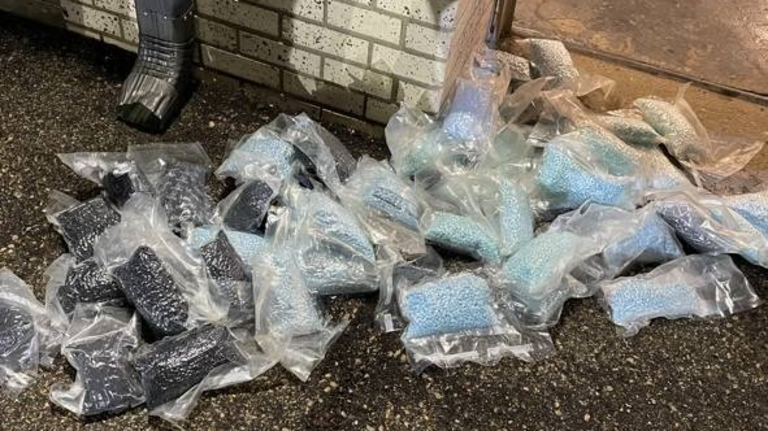 15 people plead guilty in Sinaloa Cartel drug trafficking ring in Wichita