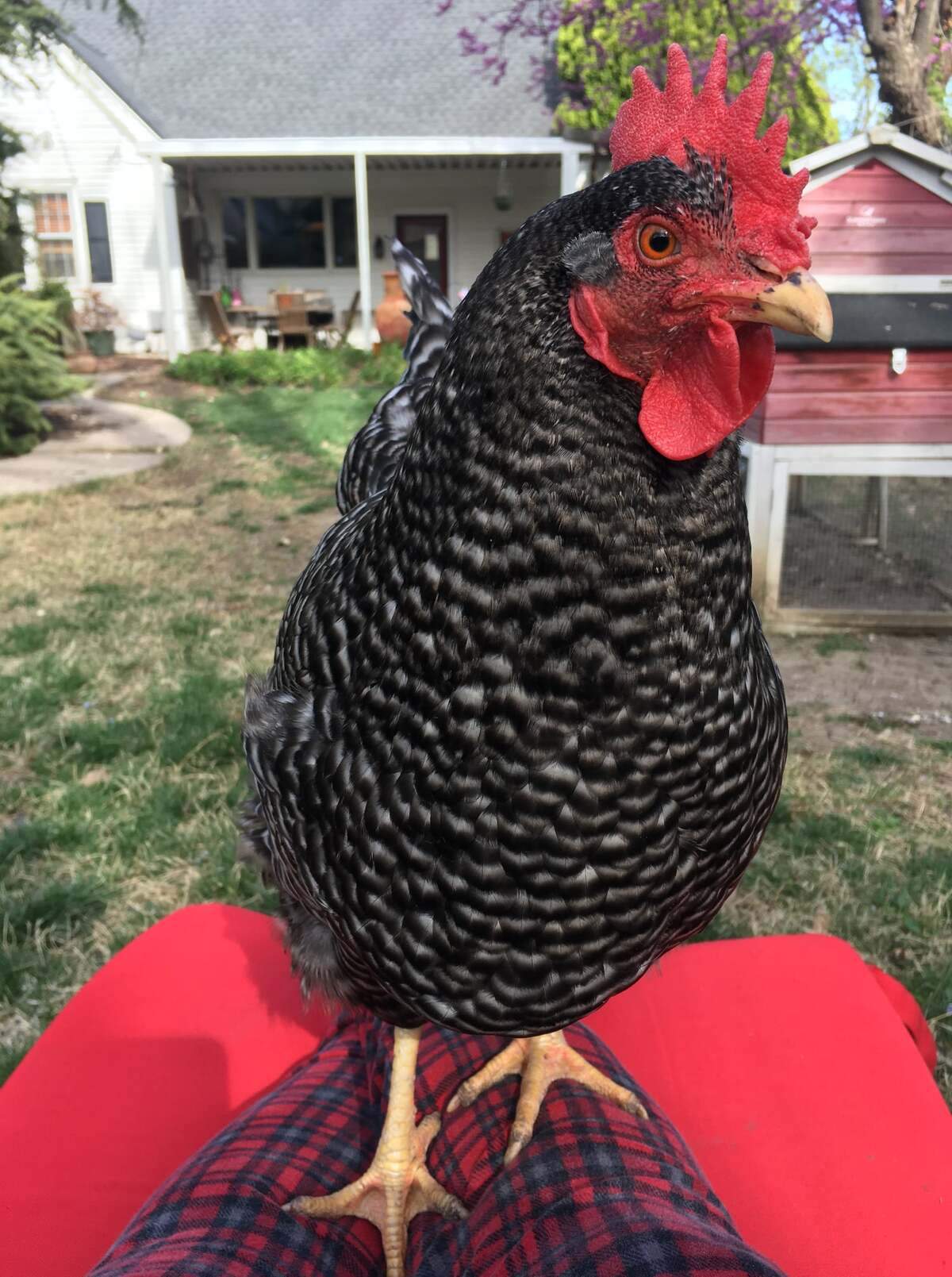 Pepper Marie Rengers Stumpe was a friendly, beautiful girl.
